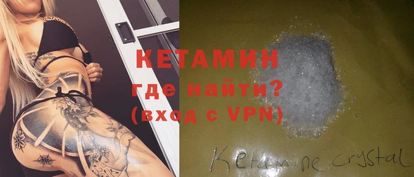 гидра Покачи