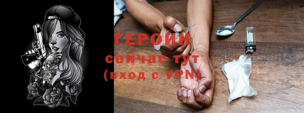 гидра Покачи