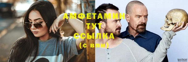 гидра Покачи