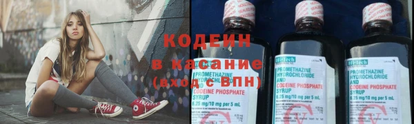 гидра Покачи