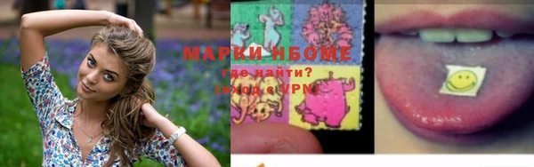 гидра Покачи