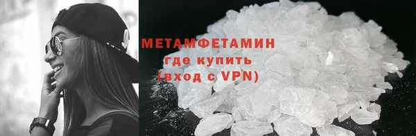 гидра Покачи