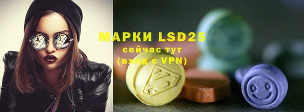 гидра Покачи