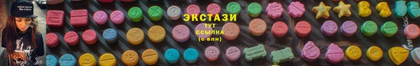 гидра Покачи