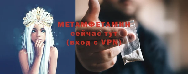 прущие грибы Переславль-Залесский