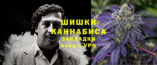 гидра Покачи