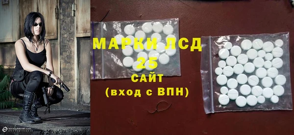 ГАЛЛЮЦИНОГЕННЫЕ ГРИБЫ Пересвет