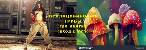 гидра Покачи