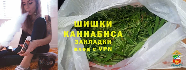 мдпв Пестово