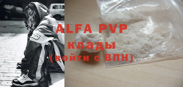 гидра Покачи